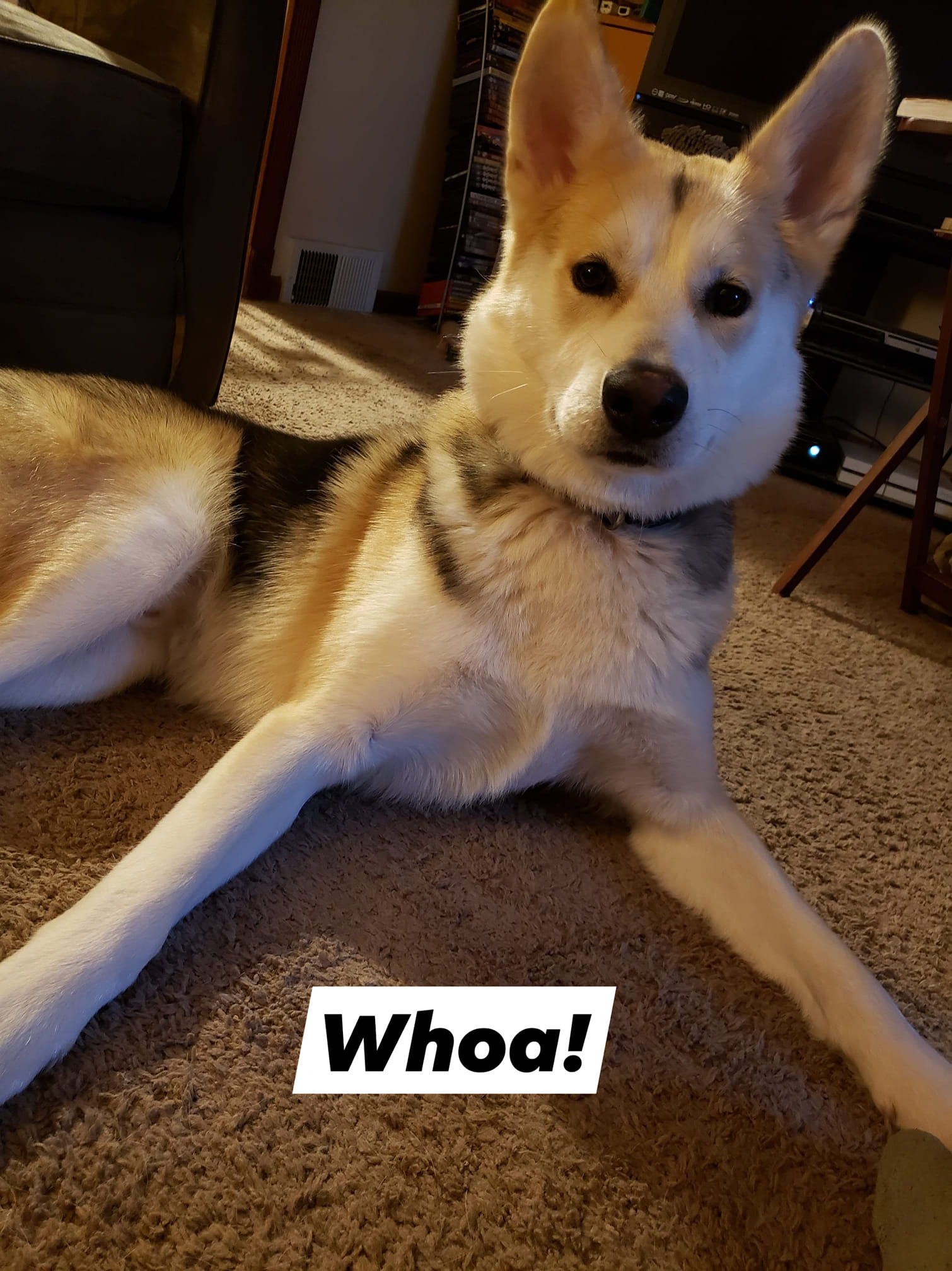 Oni's impression of Keanu Reeves